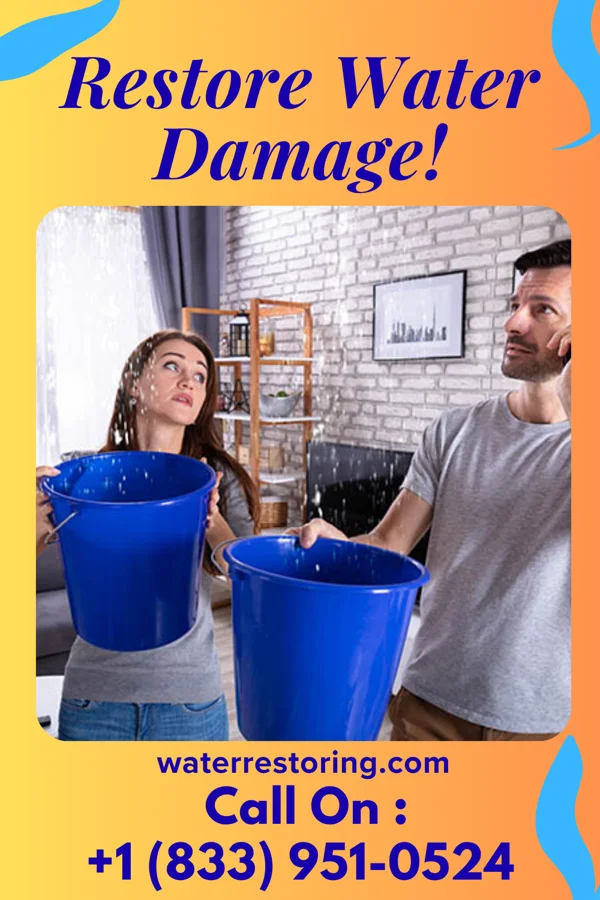 water restoration Total Disaster Cleanup Brothers Emmett