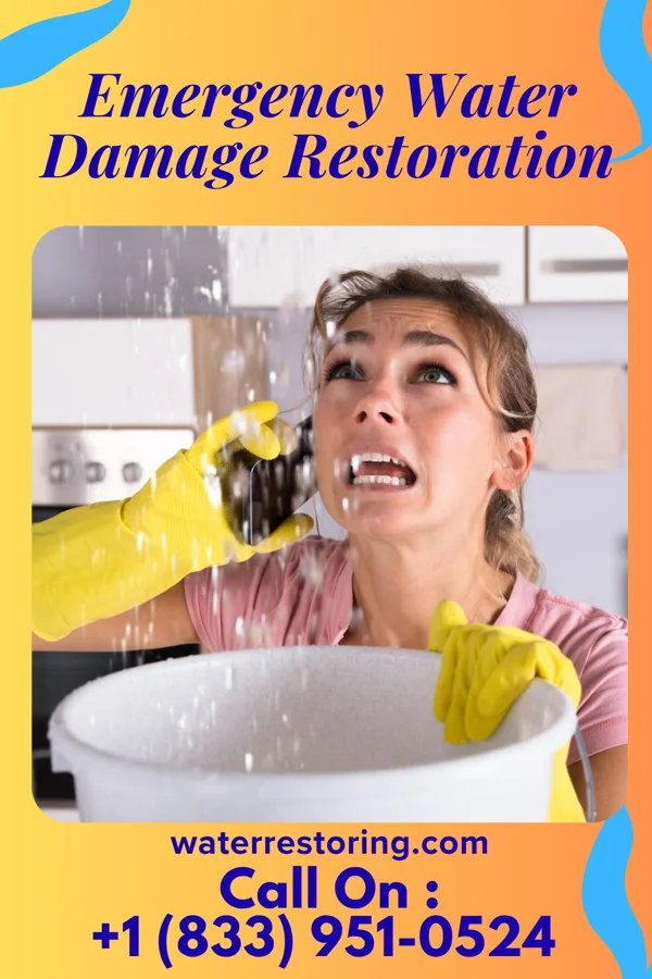 Emergency Water Damage Restoration in Emmett, MI