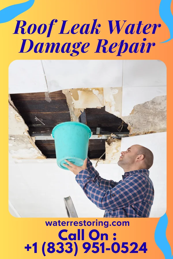 Roof Leak Water Damage Repair in Emmett, MI
